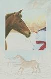 Horse & Snowman Christmas Cards 