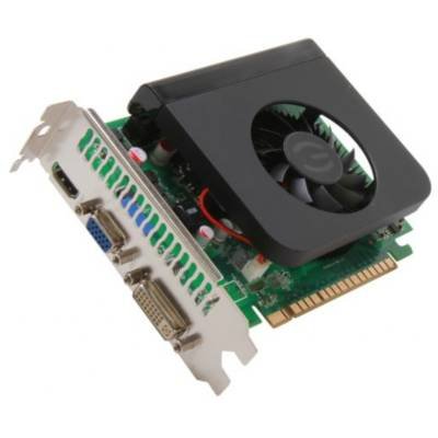 review EVGA 