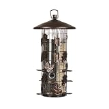 Perky-Pet 337 Squirrel-Be-Gone III Wild Bird Feeder