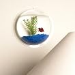 Fish Bubble Fish Bubble