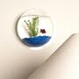Fish Bubble