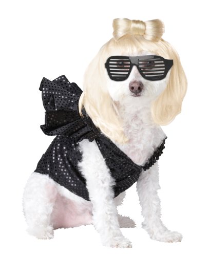 Pup-A-Razzi womens POP SENSATION Dog Costumes, Black, Medium US