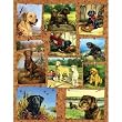Photo Gallery 1000 piece Jigsaw Puzzle