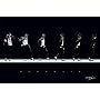 Michael Jackson (Moonwalk) Music Poster Print - 24" X 36"