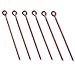 ColemaniR[}jA~syO21cm 170TA0024