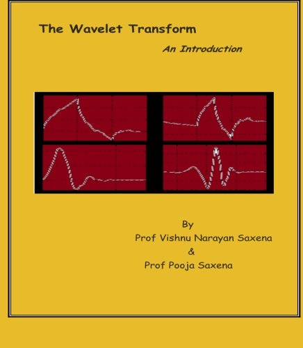 The Wavelet Transform