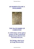 The place-names of Camelford = An henwyn-tyller a Reskammel : a celebration of the place-names of the Camelford Registration District for Gorsedh Kerno
