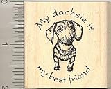 Dachshund Dog Rubber Stamp - Wood Mounted