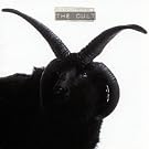 The Cult