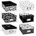 6 PACK PHOTO STORAGE BOX BL&WH ASSTD Papercraft, Scrapbooking (Source Book)