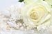 Wallmonkeys Peel and Stick Wall Decals - Wedding Gown and Decorated Hair Piece with White Rose. - Removable Graphic