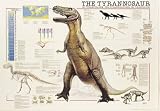 Tyrannosaurus Rex Poster (#28)