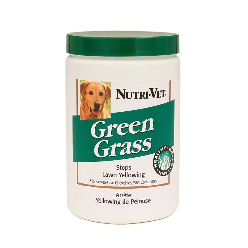 Nutri-Vet Green Grass Chewable Tablets for Dogs,  365 Count, Liver-Flavored