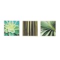 Tropical Leaves 3-pc. Box Art Set