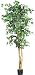 6 Ft Ficus Silk Tree 6 Ft Ficus Silk Tree