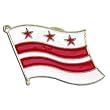 Washington DC Flag Lapel Pin