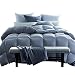 Globon Fusion White Goose Down Comforter Queen 45oz, 600 Fill Power, 300 Thread Count, Down Proof Shell, Hypoallergenic, with Corner Tabs, All Season,Bluish Grey