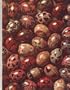 Russian Cooking (Foods of the World Series)