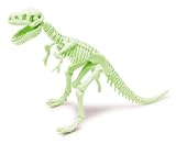 WOW Toys Natural History Museum Dig A Glow Dinosaur - T-Rex