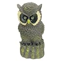 MOTION SENSITIVE LIGHT UP HOOTING OWL