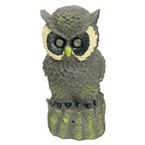 MOTION SENSITIVE LIGHT UP HOOTING OWL