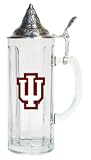 41rSFTdXIxL. SL160  Indiana 20oz Tall Lidded Stein