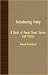 Introducing Irony - A Book Of...