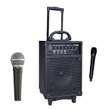 Pyle Mic and Speaker Package - PWMA430U 300 Watt Wireless Rechargeable Portable PA System With FM Radio / USB Flash Drive Stick / SD and SDHC Memory Card and Handheld Microphone with 3.5mm hole to put on speaker stand - PDMIC58 Professional Moving Coil Dynamic Handheld Microphone for Performances, Performers, Singers, dancers, Tours, Classrooms, Meetings, on Stage, in the Studio and Travel