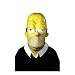 Adults Homer Simpson Mask