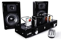 Fatman iTube ValveDock Carbon Edition Audiosystem (Röhrenverstärker, Dock, Lautsprecherpaar) für Apple iPod schwarz