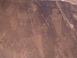 Ancient Petroglyphs Decorate a Wall with Native Art, Dinosaur National Monument, UT/Colorado Border Photographic Poster Print by Taylor S. Kennedy, 16x12