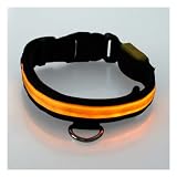 Adjustable LED Illumination Pet/Dog Collar, Large, Yellow