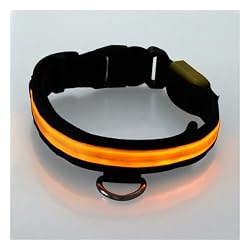 Adjustable LED Illumination Pet/Dog Collar, Large, Yellow