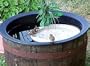 Bird Bath Raft 14-1/4" dia x 1-1/4" high