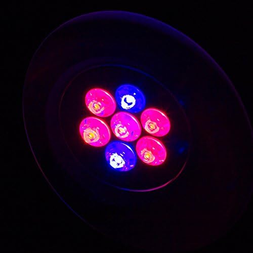 E27 7W LED 7LED Aluminum Plant Grow Hydroponic Lighting Power Saving Indoor LED Bulb Lamp Light Spotlight (5 red + 2 blue)
