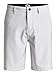 Quiksilver Men's Subtle Amphibian 20 Inch Short
