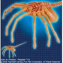AVP2 エイリアンズvsプレデター フェイスハガー リアルソフビフィギュア