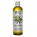 Neem Hair Shampoo 12 fl. oz.