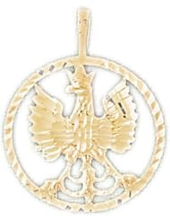 Dazzlers Solid 14k Gold Flying Eagle Charm Pendant Available in three colors from jewelsberry (weights: 2.7 grams only)