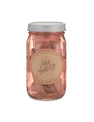 Lawn & Patio: Modern Sprout Mint Coral Self-Watering Organic Herb Garden Kit