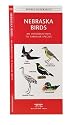 Nebraska Birds: An Introduction to Familiar Species