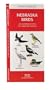 Nebraska Birds: An Introduction to Familiar Species (State Nature Guides)