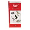 Nebraska Birds: An Introduction to Familiar Species (State Nature Guides)