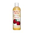 Burt's Bees More Moisture Raspberry & Brazil Nut Shampoo - 12 oz