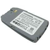 Lenmar CLSG528 Cell Phone Li Ion Battery Replaces Samsung BST5528SAB