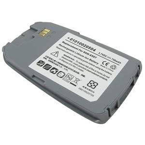 Lenmar Cellular Phone Battery for Samsung SGH-X506/SGH-X507 Series