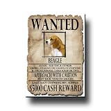 Beagle Wanted Fridge Magnet