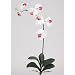 Silk Phalaenopsis Orchid Flower w/Leaves - White