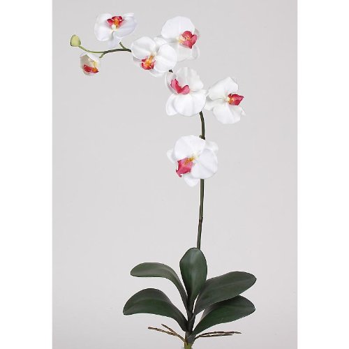 Phalaenopsis Silk Orchid Flower w/Leaves (6 Stems)