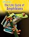 The
Life
Cycle
of
Amphibians
(Life
Cycles)